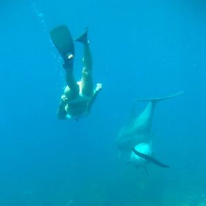 Meet your Posher, Sue